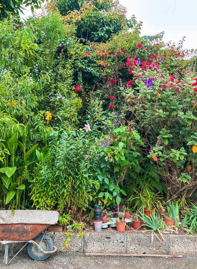Apartment With Huge Deck Nestled In Marvelous Gardens - Nidos 라오로타바 외부 사진