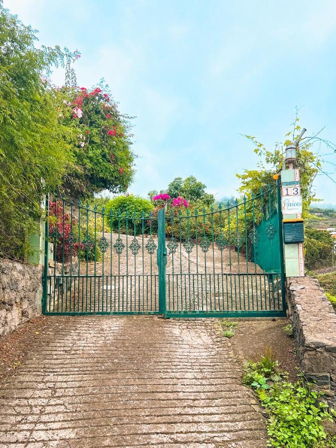 Apartment With Huge Deck Nestled In Marvelous Gardens - Nidos 라오로타바 외부 사진