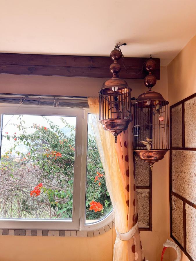 Apartment With Huge Deck Nestled In Marvelous Gardens - Nidos 라오로타바 외부 사진